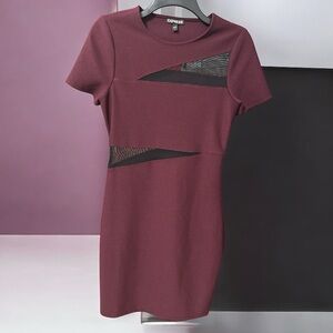 Express Wine Mini Dress with Sheer Black Panels